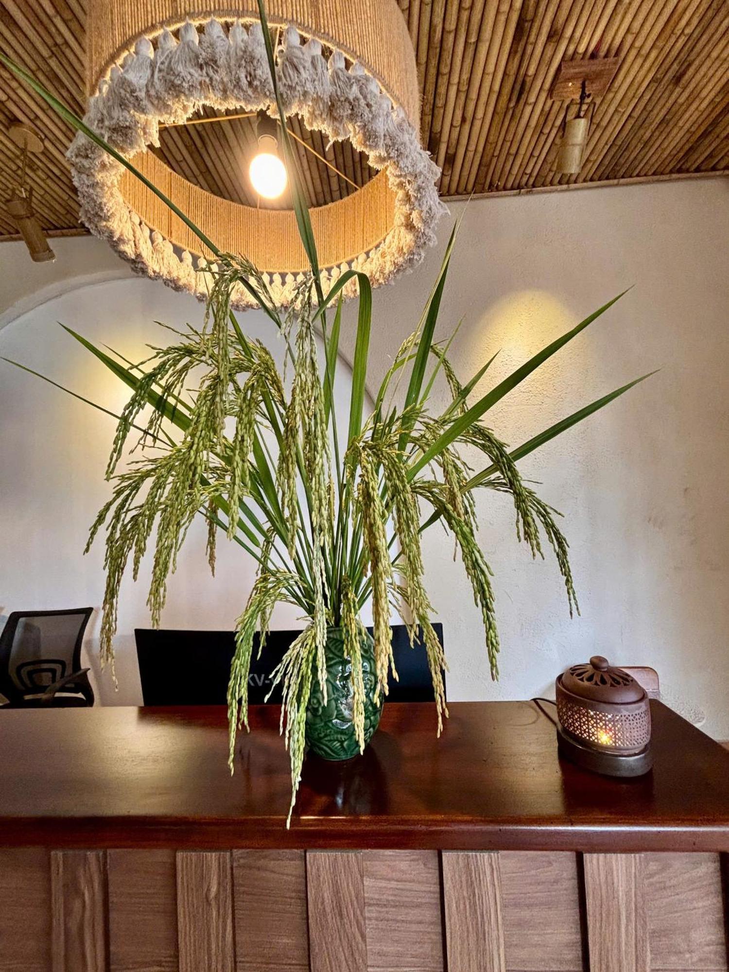 Truong Giang Boutique Hotel Lang Mon Buitenkant foto